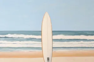 A Guide to Surfboard Shapes