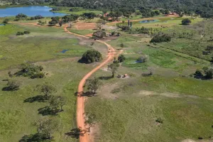 Pantanal: biodiversidade