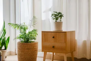 Intégrer la verdure