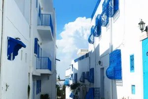 Timeless Tunis Streets