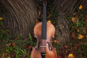 L’apprentissage du violon