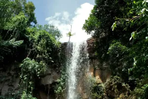10 viagens de SP