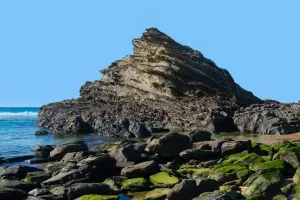 Coastal Hidden Gem
