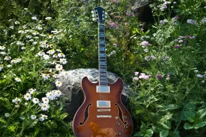 Gitarrenpflege-Ratgeber