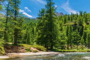 Chốn Cổ Tích Giữa Alps