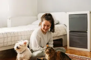Cão e gato juntos