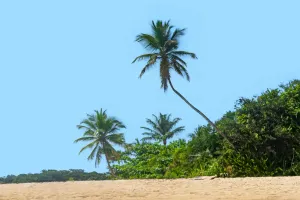 3 dias em Boipeba