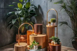 Plantes d'intérieur faciles