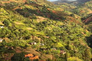 Burundi Có Gì Hấp Dẫn?