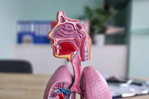 Pneumonia explicată