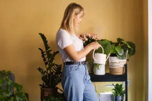 Arroser vos plantes