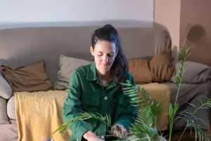 10 greșeli cu plantele