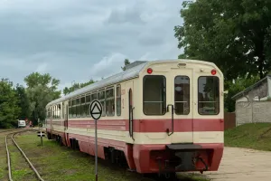 Caos en el Tren