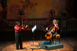 Streicher Harmonie