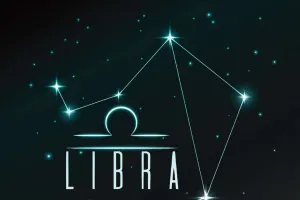 Libra Knows the Cost