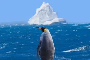 Pinguine in Antarktis