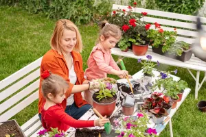 Árvores ideais para jardim