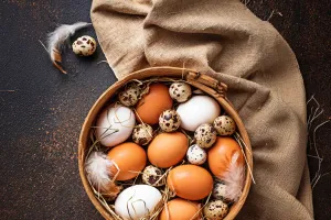 Frische Eier