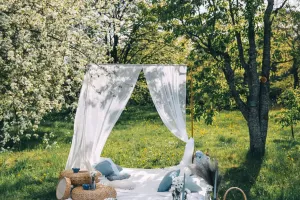 Picnic Perfecto en Familia