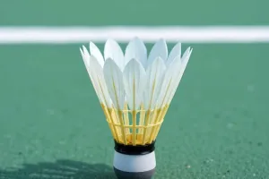 Badminton-Speed