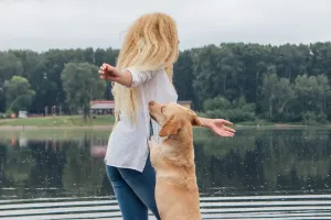 Plaje pentru câini