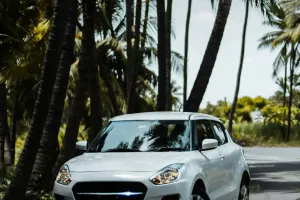 UK EV Targets Review