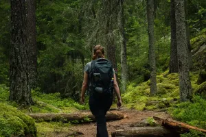 Le bain de forêt