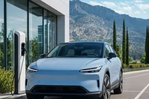 Piața electricelor crește