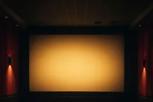 Load failed