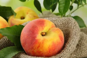 Cách Nhận Biết Đào Đã Chín