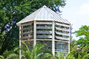 Paduas Botanischer Garten