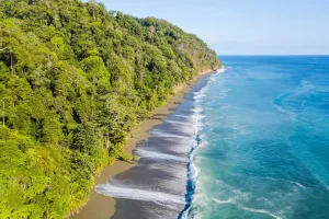 Dschungelnacht Corcovado