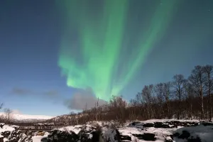 Sweden's Wildest Escapes